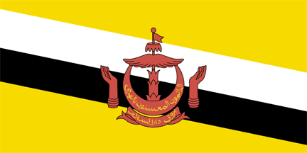 Drapeau national, Brunei
