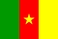 Drapeau national, Cameroun