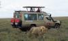 Tanzania Safari and Zanzibar Beach holiday.